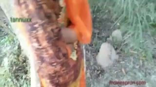 Youthful blonde sucks dick of old guy in 69 position